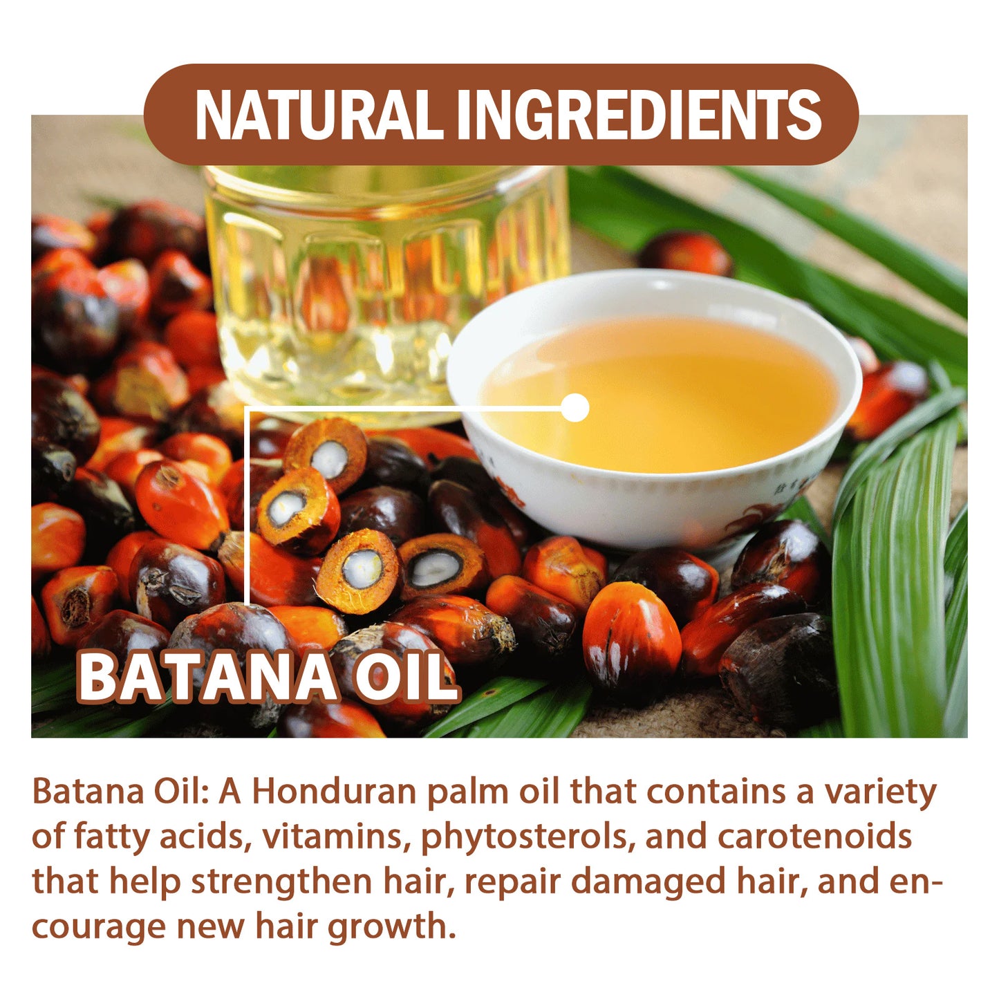 EELHOE Batana Oil Conditioner Moisturizes, Repairs, Strengthens Hair Roots