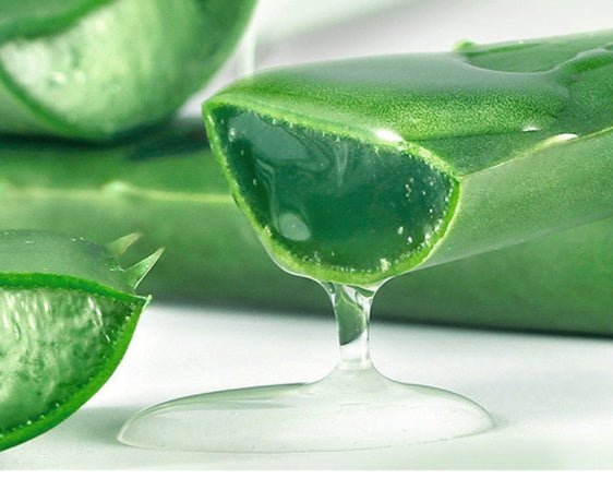 Aloe Gel Skin Care Moisturizing Face cream